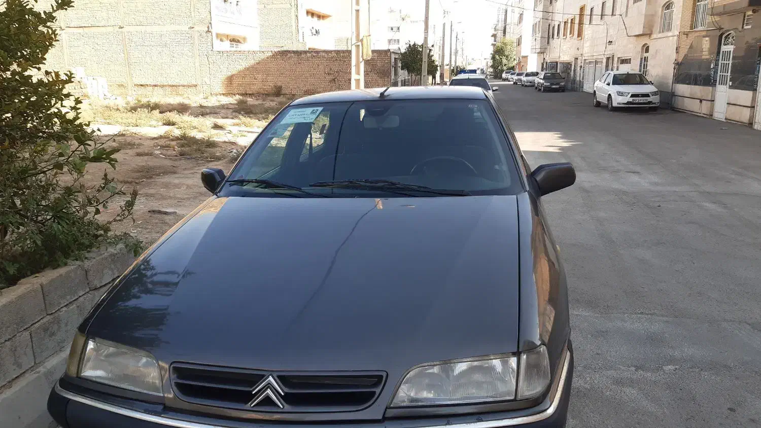 زانتیا85 آنتیک|خودرو سواری و وانت|شیراز, شهرک مدرس|دیوار