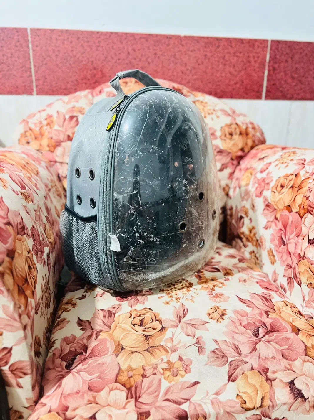 کیف حمل سگ و گربه،خرگوش،پرنده|لوازم جانبی حیوانات|باقرشهر, |دیوار