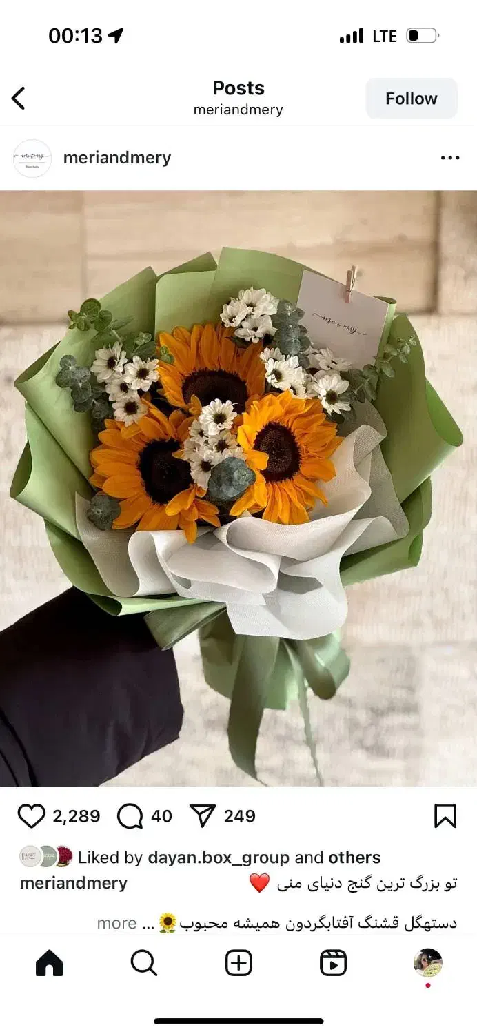 سبد گل های فانتزی برای تمام مناسبت ها|گل و گیاه طبیعی|شاهینشهر, عطار|دیوار