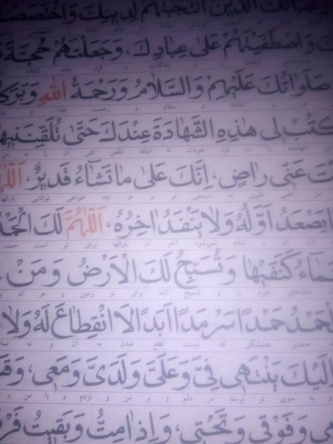 سر کتاب|کتاب و مجله مذهبی|تربت جام, معدآباد|دیوار