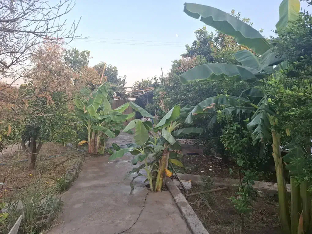 فروش ویلا باغ|فروش خانه و ویلا|دزفول, |دیوار