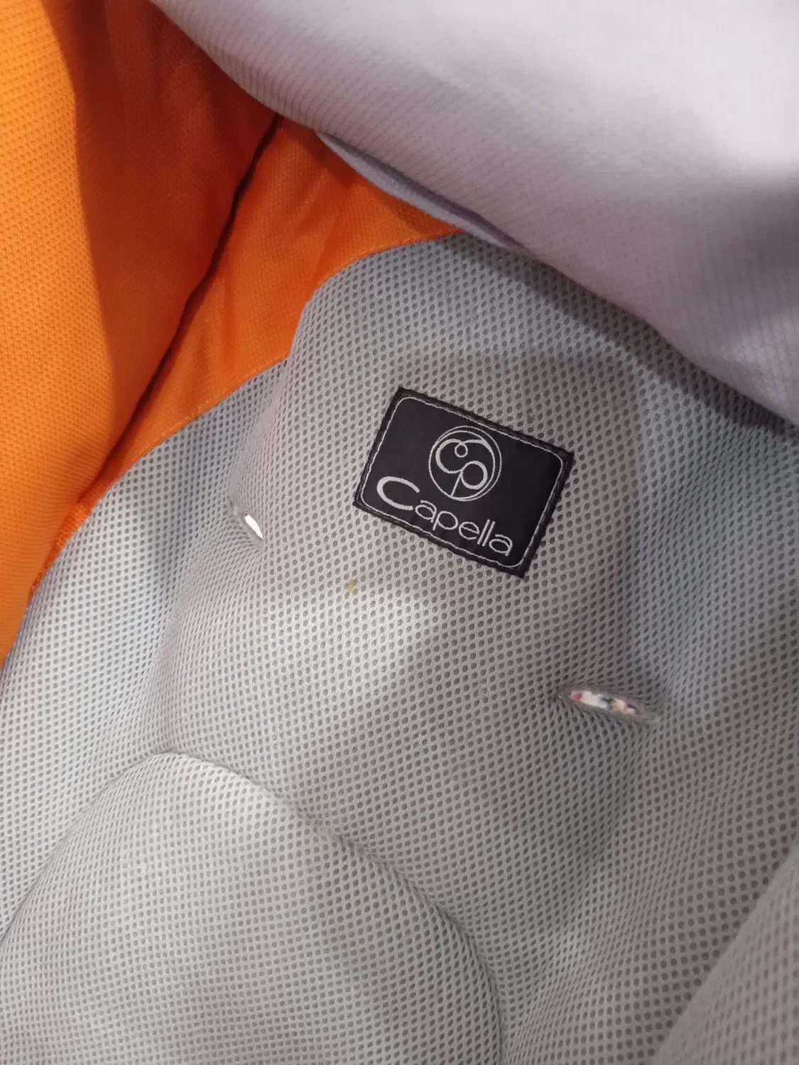 کالسکه|کالسکه و لوازم جانبی|شیراز, میانرود|دیوار