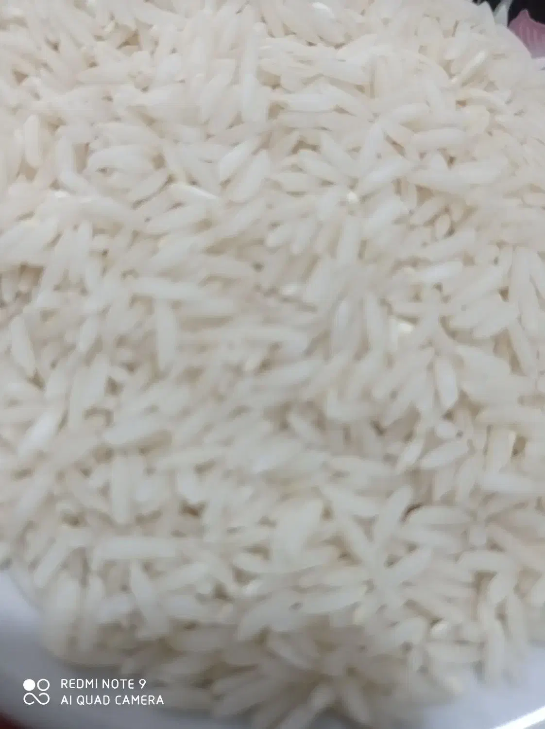 برنج بهنام بینام کشت دوم|خوردنی و آشامیدنی|قائمشهر, |دیوار