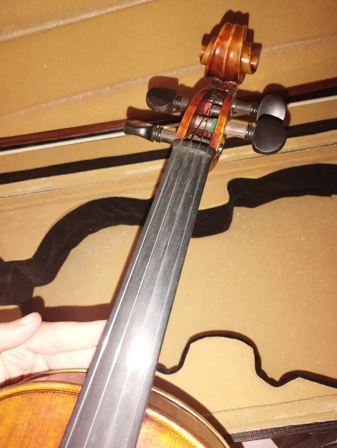 ساز ویلون|ویولن|زنجان, |دیوار