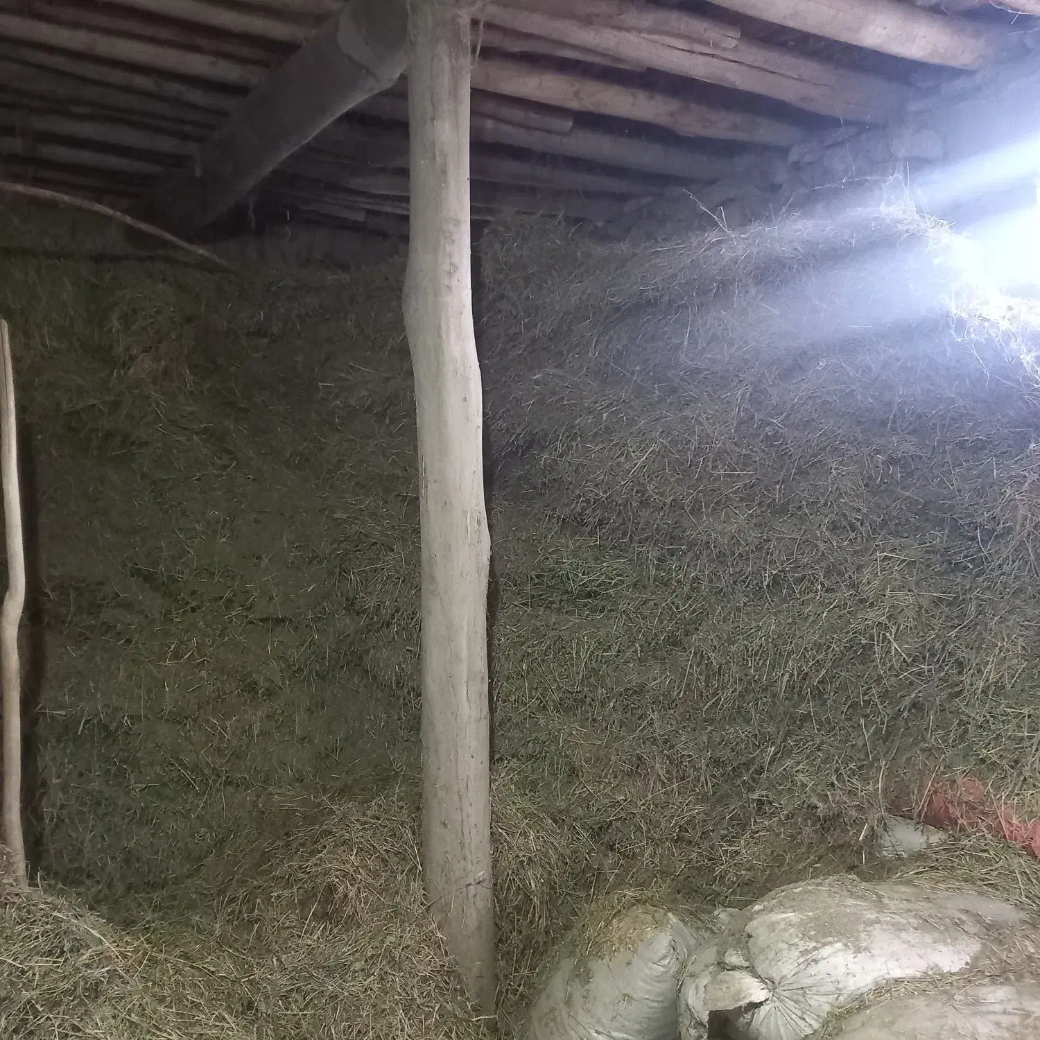 کاه ویونجه|لوازم جانبی حیوانات|خوی, |دیوار