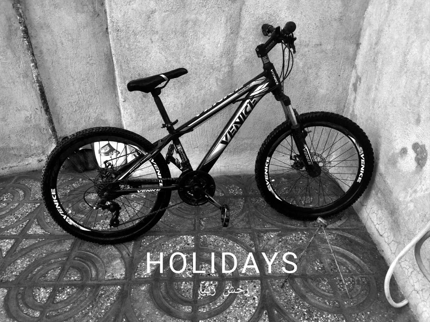 دوچرخه ۲۴نو نو نو سالم سالم|دوچرخه، اسکیت، اسکوتر|نهاوند, |دیوار