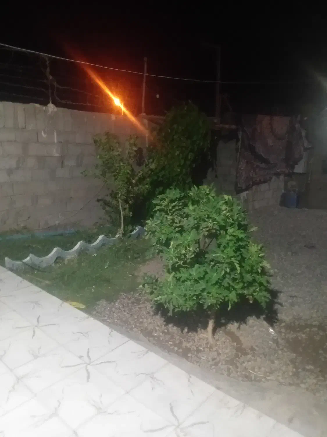 فروش منزل ومغازه داخل حیاط کوچه مدرسه امام علی 3|اجارهٔ مغازه و غرفه|ریگان, |دیوار