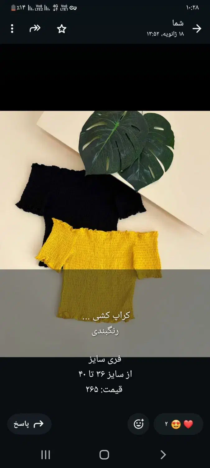 لباس زنانه ولباس زیر زنانه|لباس|شیراز, گود خزینه|دیوار