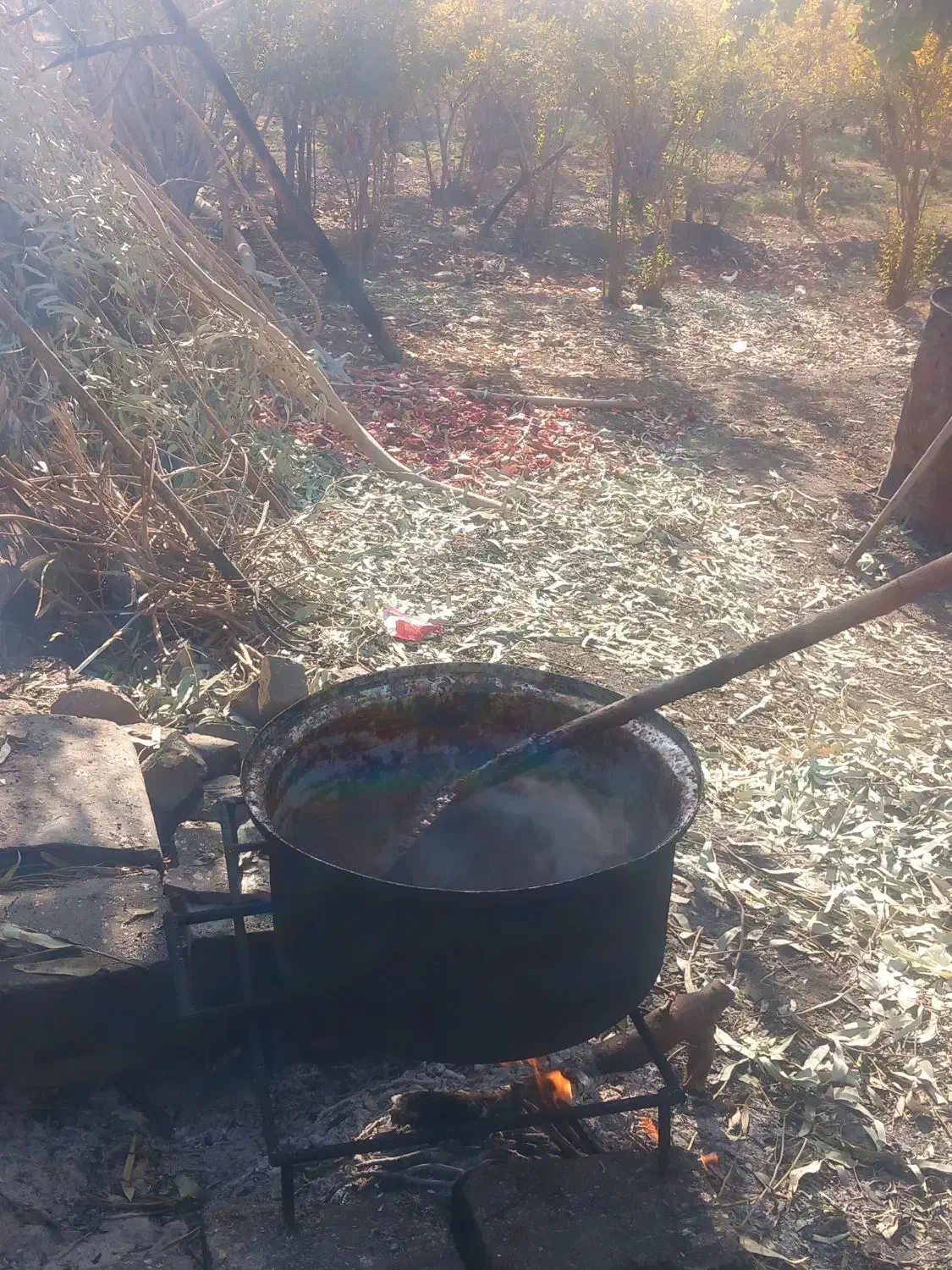 رب انار صدرصد طبیعی|خوردنی و آشامیدنی|قم, پردیسان|دیوار