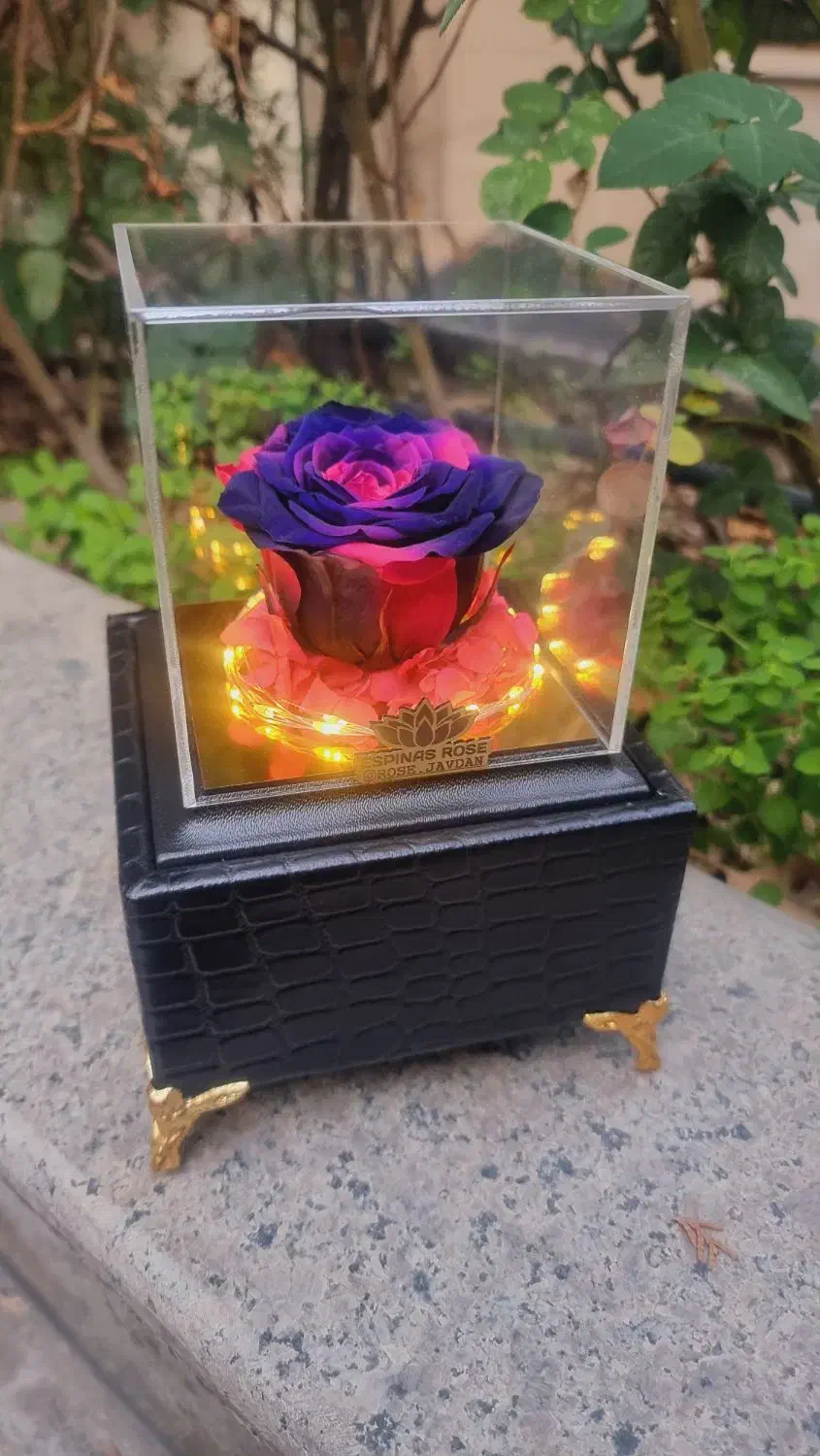 باکس چرمی موزیکال گل رز جاودان اسپیناس رز کد ۹۳|گل و گیاه طبیعی|تهران, میدان ولیعصر|دیوار