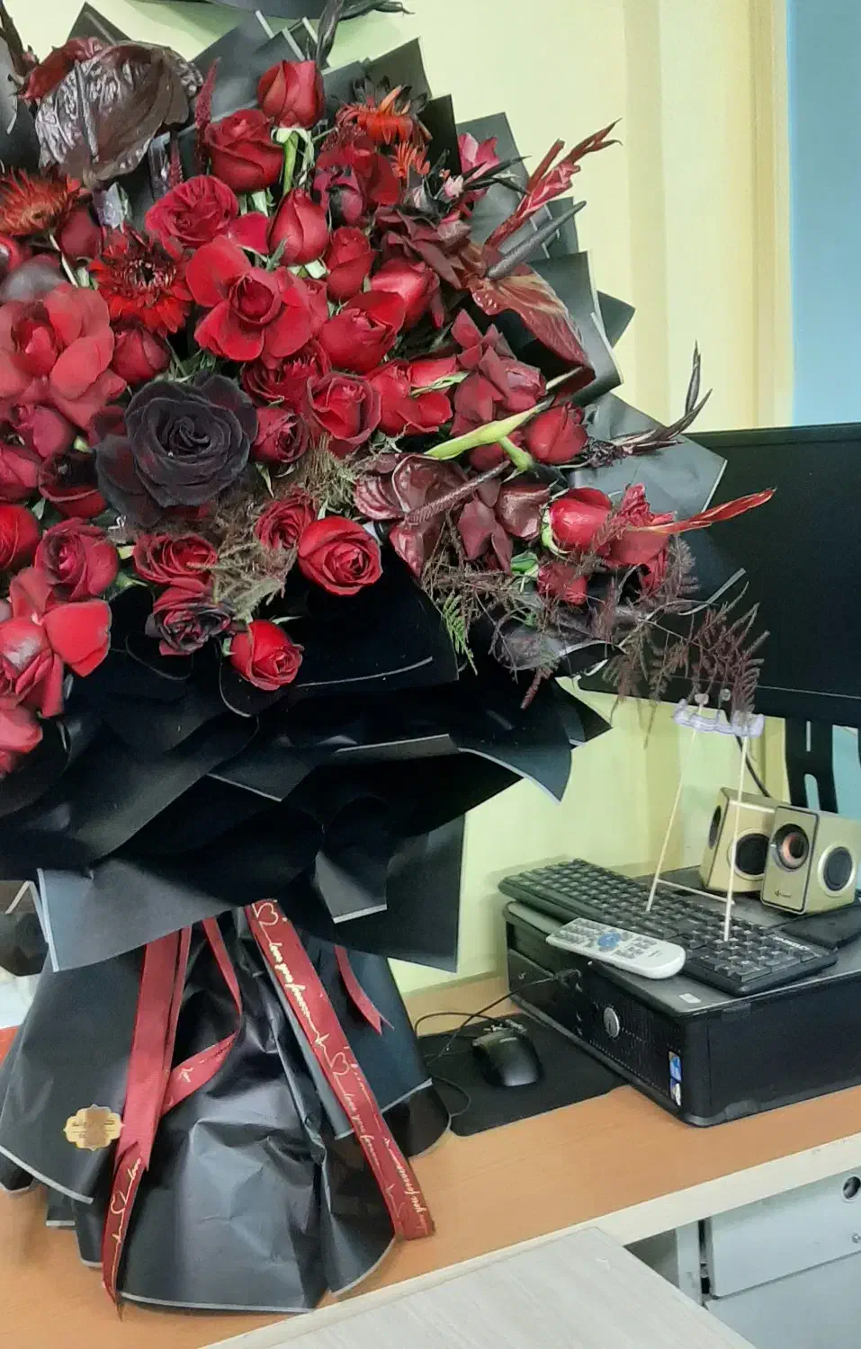 گل طبیعی|گل و گیاه طبیعی|مشهد, شهید قربانی|دیوار