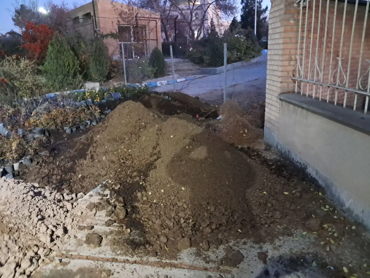 کود فرآوری  شده گاوی   و کود ورمی|گل و گیاه طبیعی|بجنورد, |دیوار