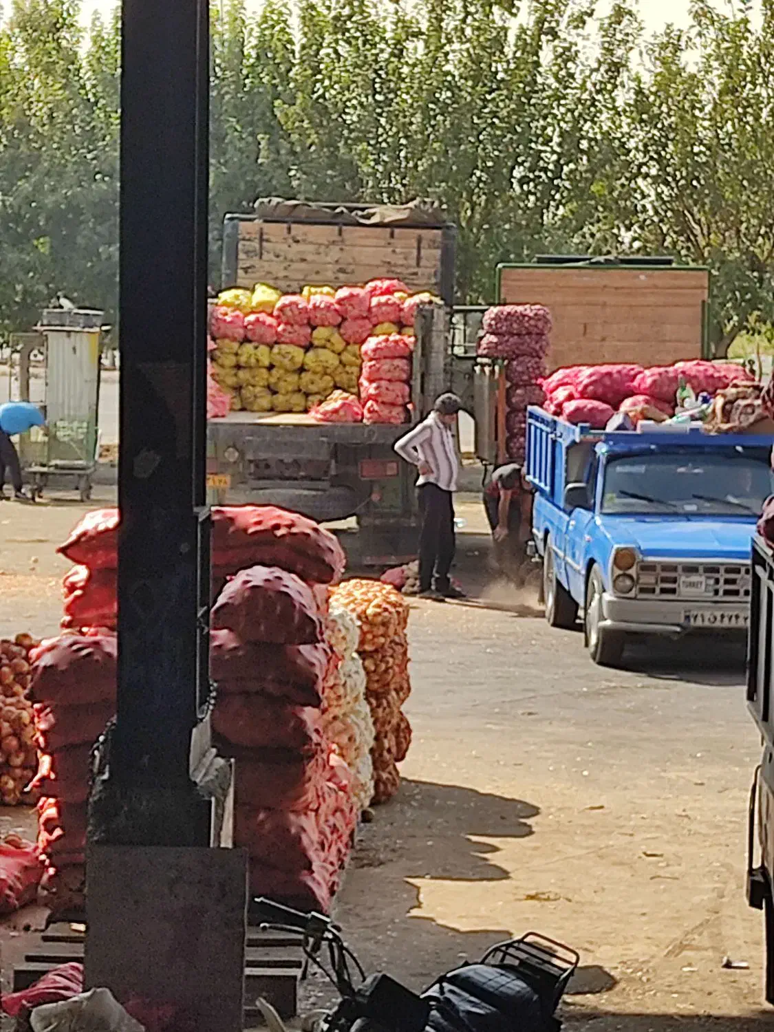اجاره حجره تره بار مرکزی تهران  فاز 2سالن 10 پ 27|اجارهٔ مغازه و غرفه|تهران, میدان میوه و تره‌بار مرکزی|دیوار
