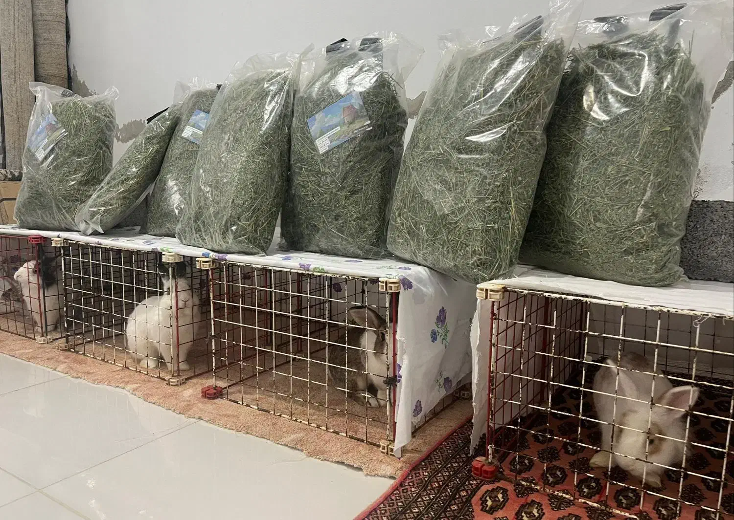 یونجه پر گل|عمدهفروشی|کرج, گلشهر|دیوار