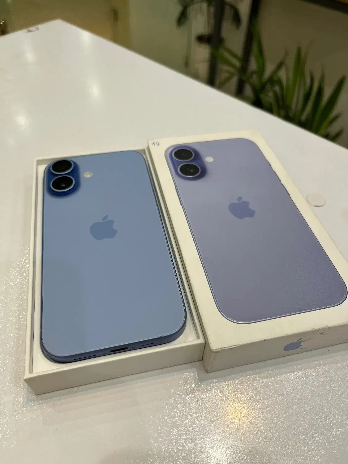 IPhone 17 256|موبایل|کرج, اتحاد|دیوار