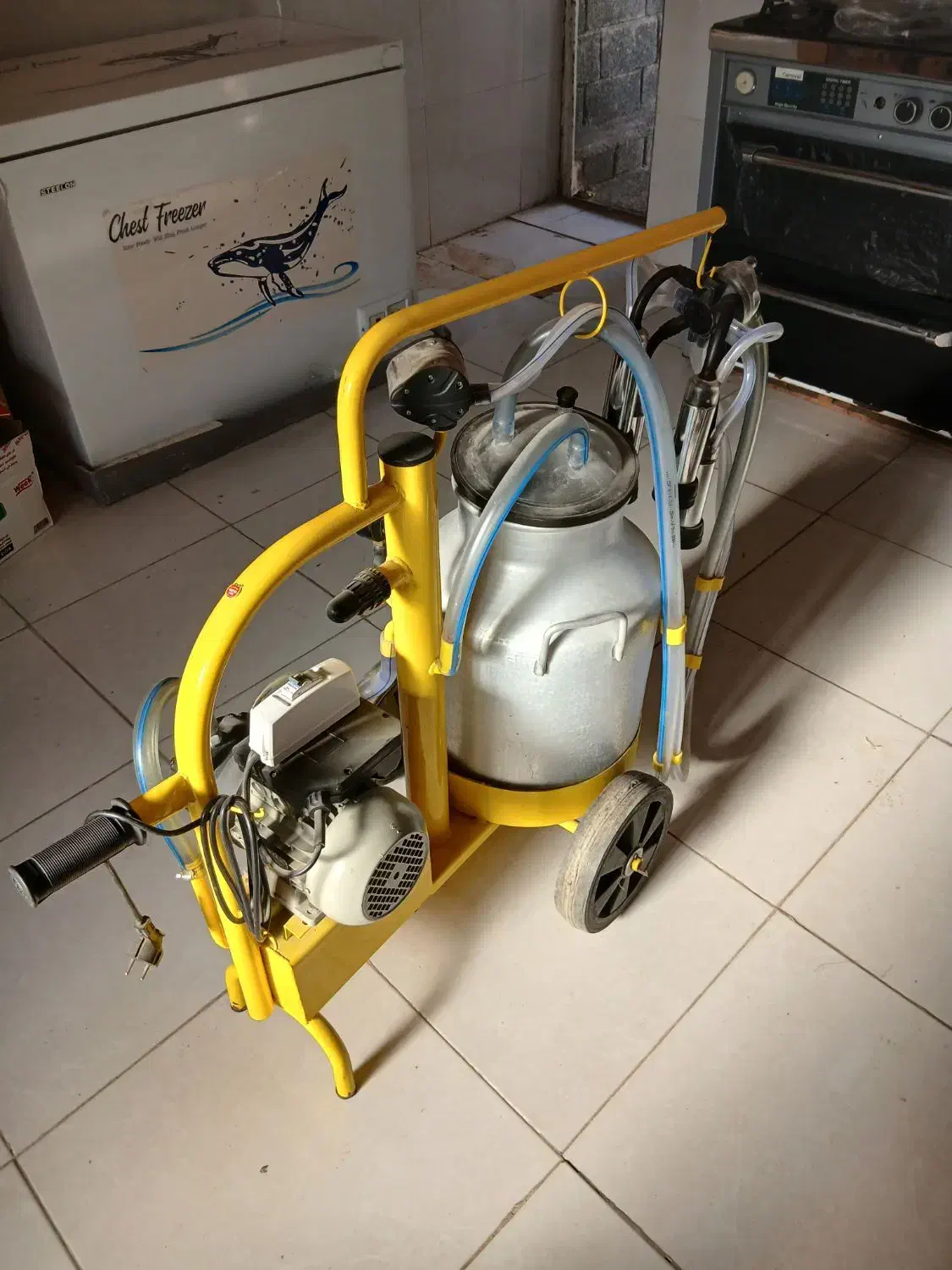 شیردوش گاوی|لوازم جانبی حیوانات|ارومیه, |دیوار