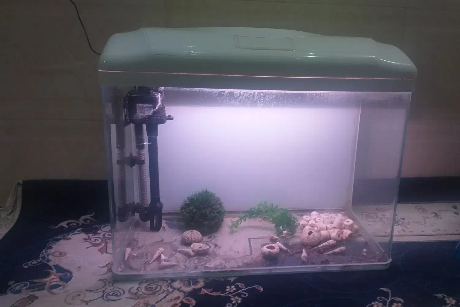 آکواریوم|ماهی|قم, بنیاد|دیوار