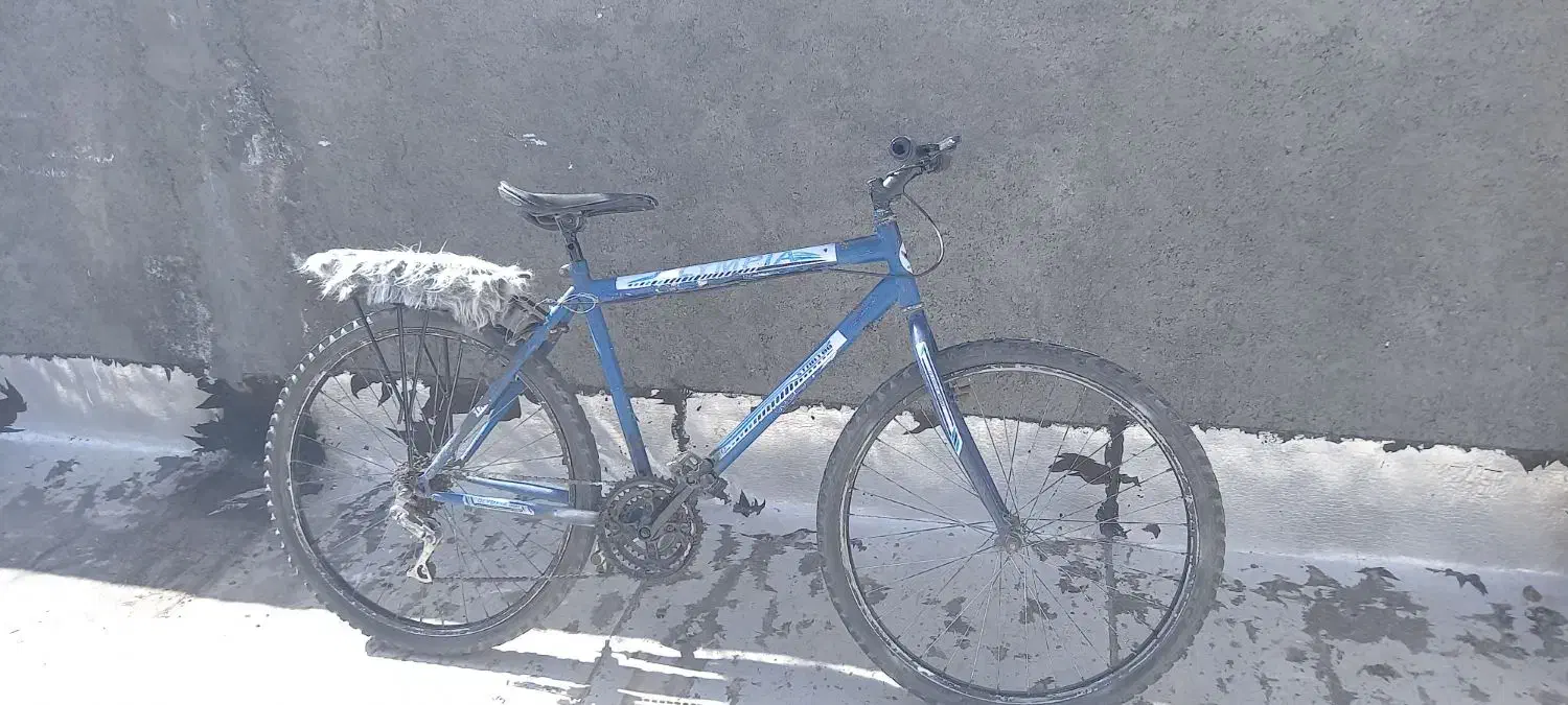 دوچرخه 26|دوچرخه، اسکیت، اسکوتر|بیرجند, |دیوار