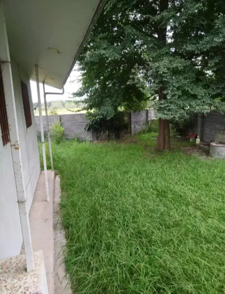 ویلاباغ ۶۴۰ متری باامتیازات اطراف رشت|فروش خانه و ویلا|رشت, بلوار گیلان|دیوار