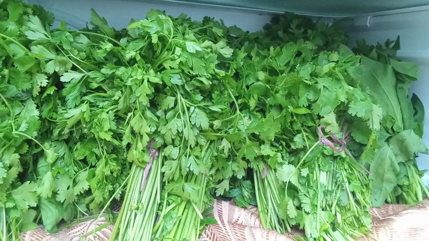 سبزی محلی برای قورمه وکوکویی موجود|خوردنی و آشامیدنی|رشت, حومه رشت|دیوار