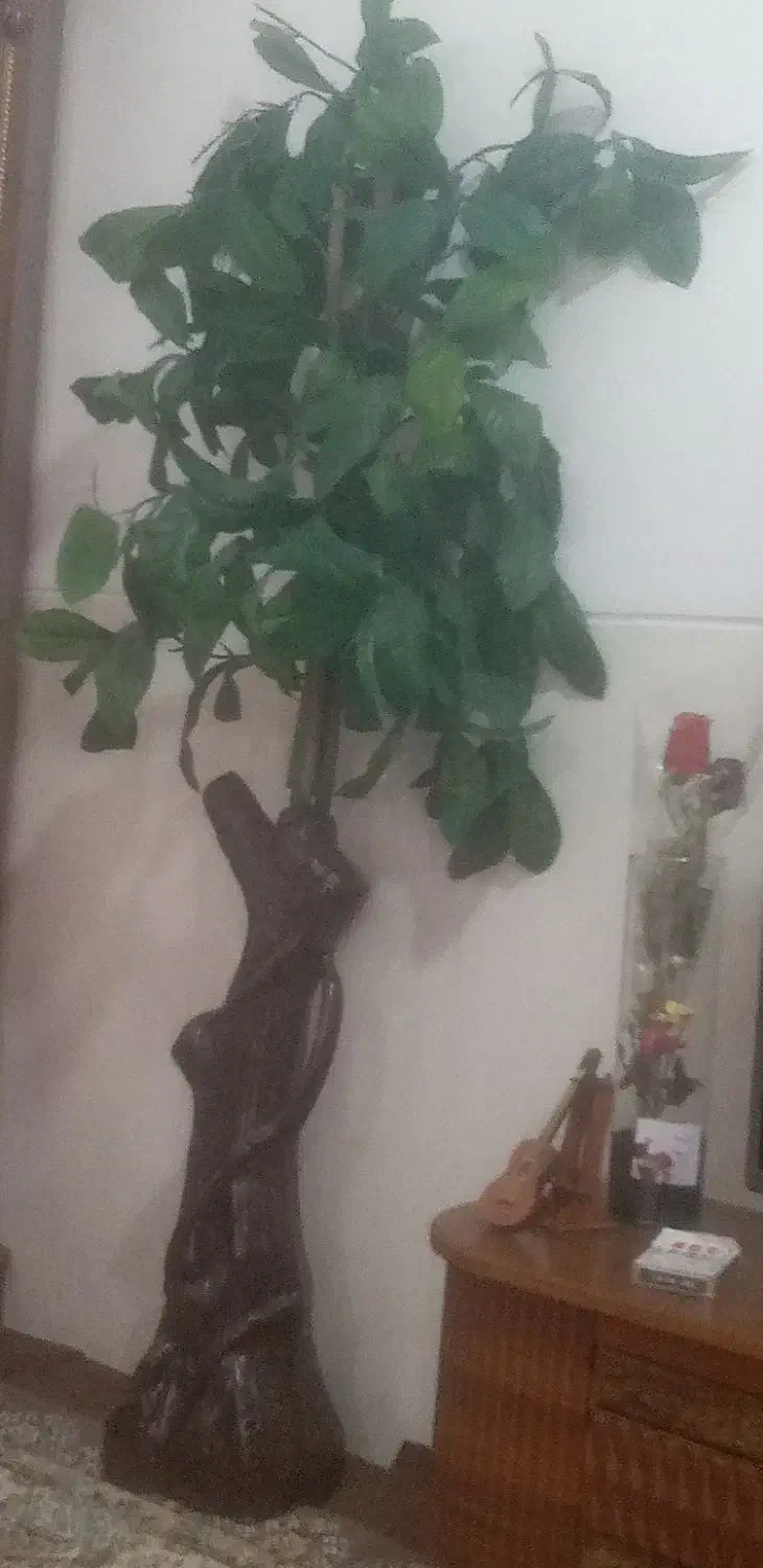 درخت مصنوعی|گل مصنوعی|مرودشت, ژیان|دیوار