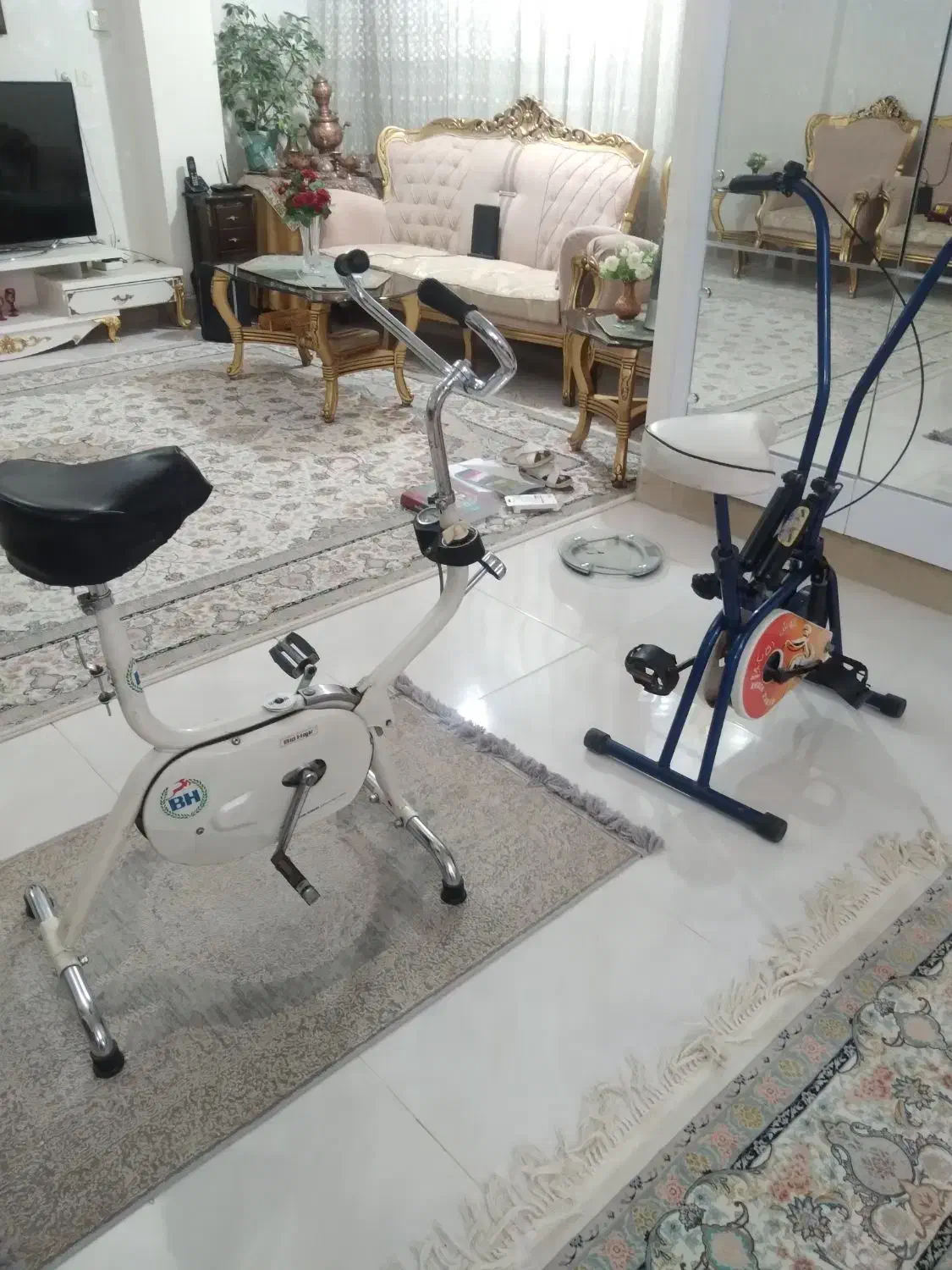 دوچرخه ثابت و الپتیکال  برای لاغری و تقویت عضلات|تجهیزات ورزشی|اصفهان, سپاهان‌شهر|دیوار