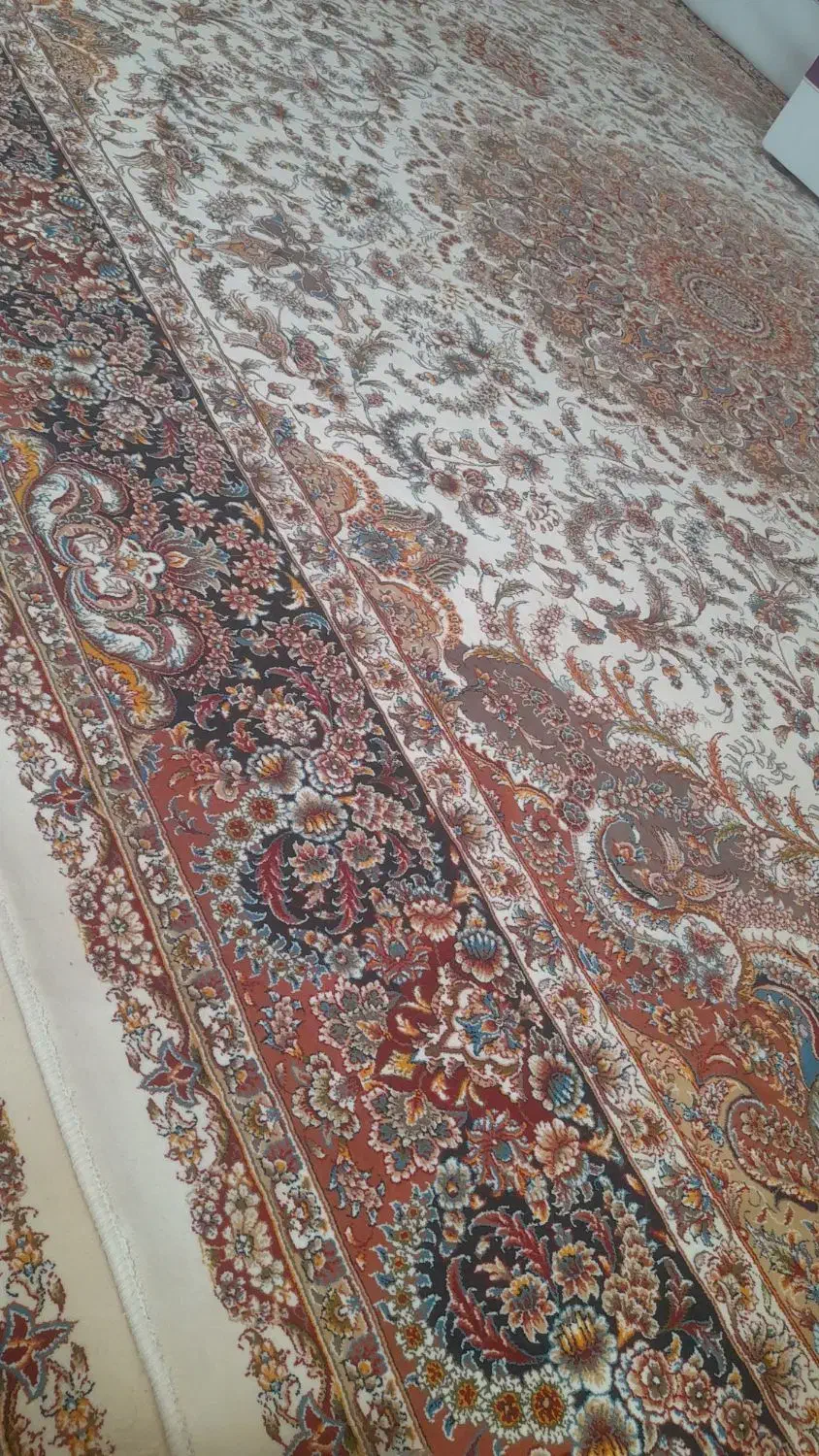 فرش ۱۲ متری ۷۰۰ شانه|فرش|تربت‌حیدریه, آغوی|دیوار