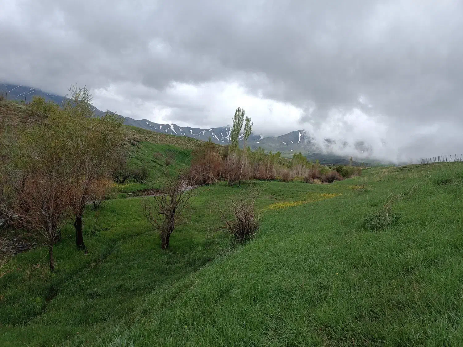 زمین ویهج مناسب باغ|فروش دفتر صنعتی، کشاورزی، تجاری|قروه, |دیوار