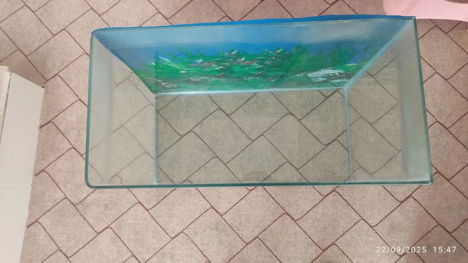 آکواریوم شیشه خم|ماهی|زنجان, |دیوار