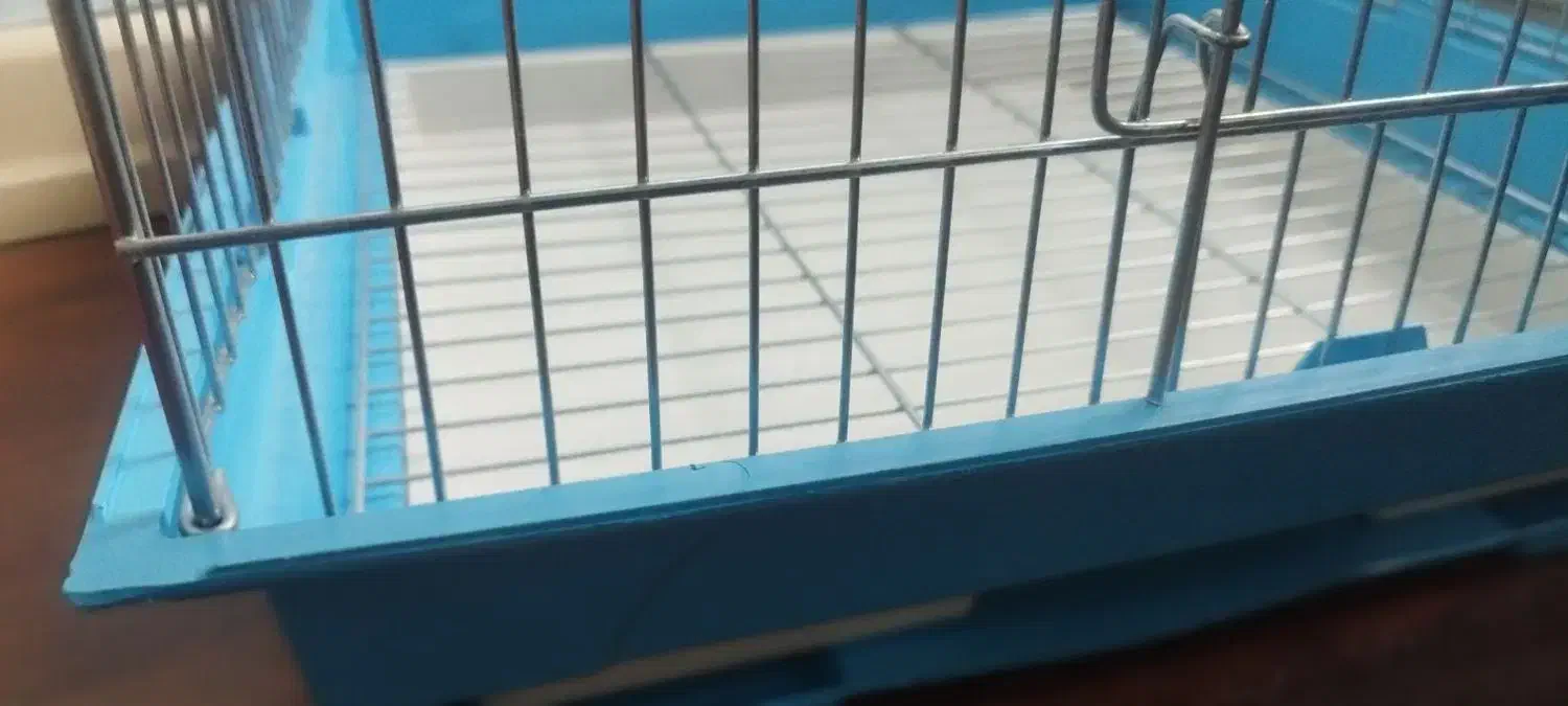 قفس پرنده|لوازم جانبی حیوانات|تنکابن, |دیوار