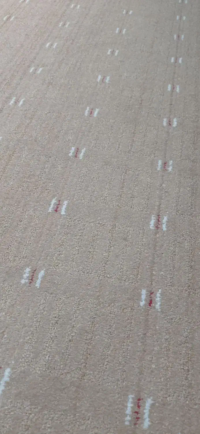 فروش پالاز موکت|موکت|یاسوج, |دیوار