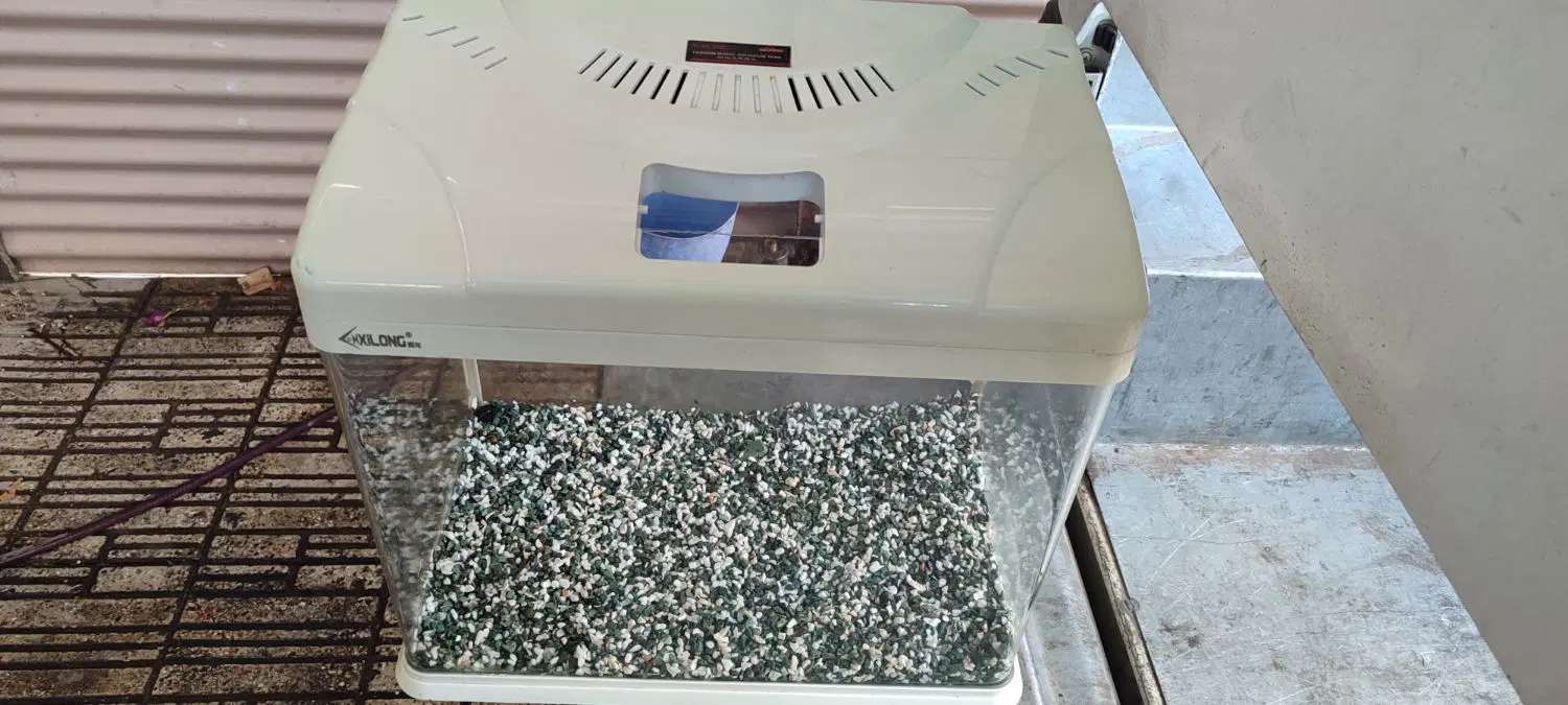 آکواریو ماهی|ماهی|تهران, شهید رجایی|دیوار
