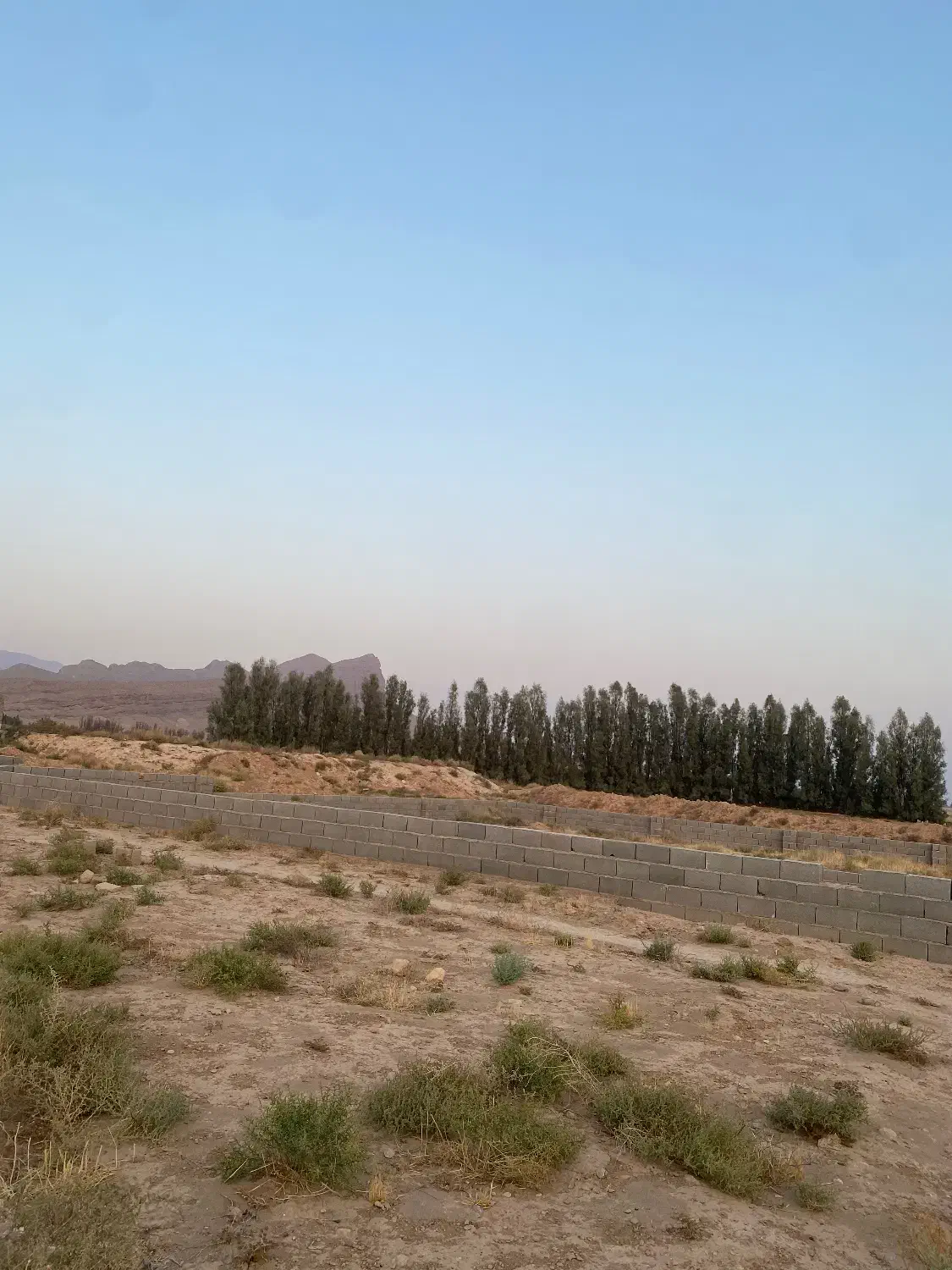 زمین مسکونی ،باغ شهری|فروش زمین و ملک کلنگی|کوهنجان, |دیوار