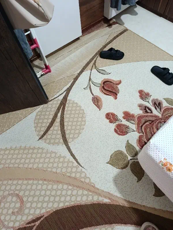 گلیم فرش و کناره|گلیم، جاجیم، گبه|برخوار, |دیوار