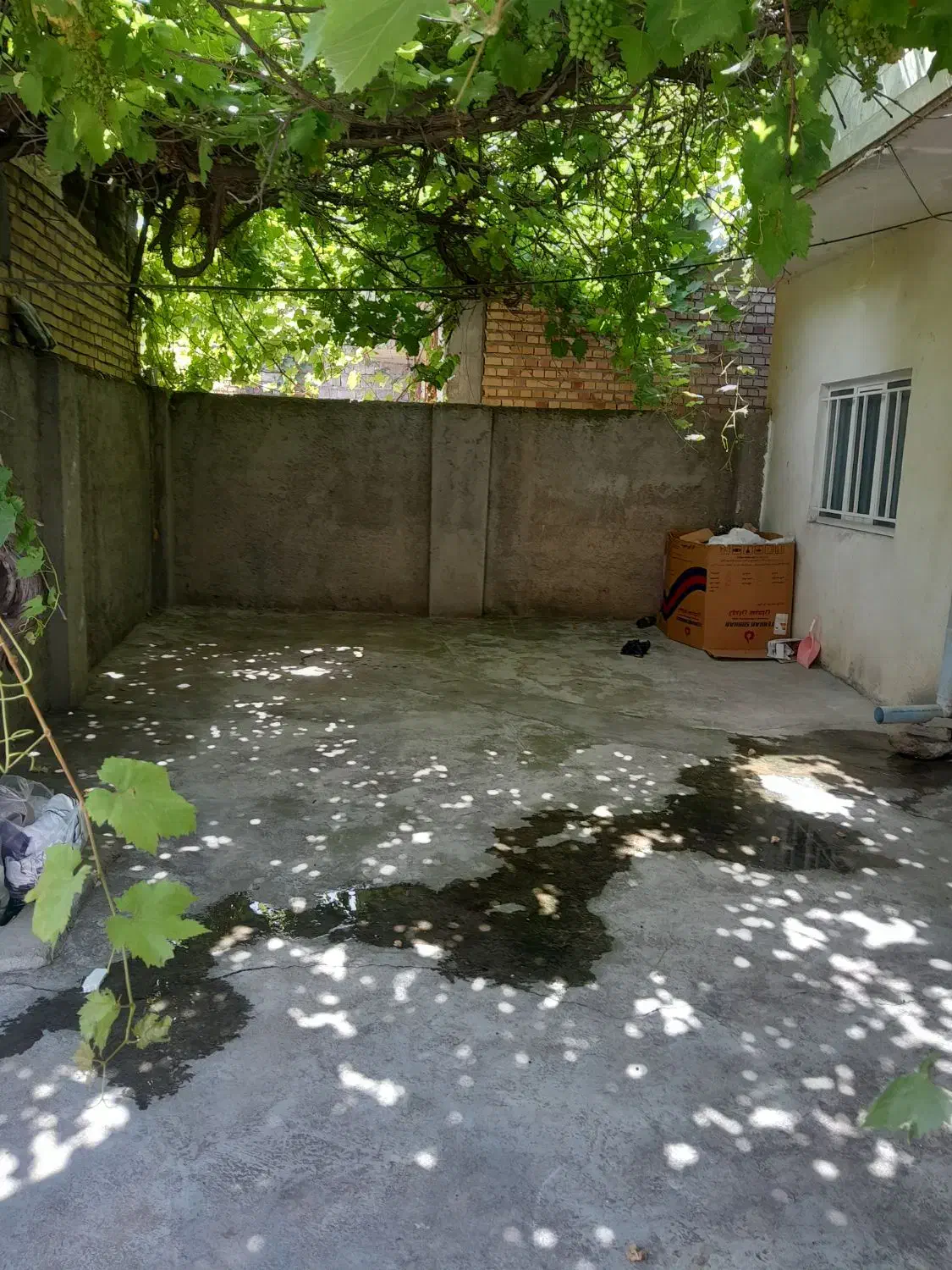 خانه ویلایی دربستی|اجارهٔ خانه و ویلا|کلاله, |دیوار