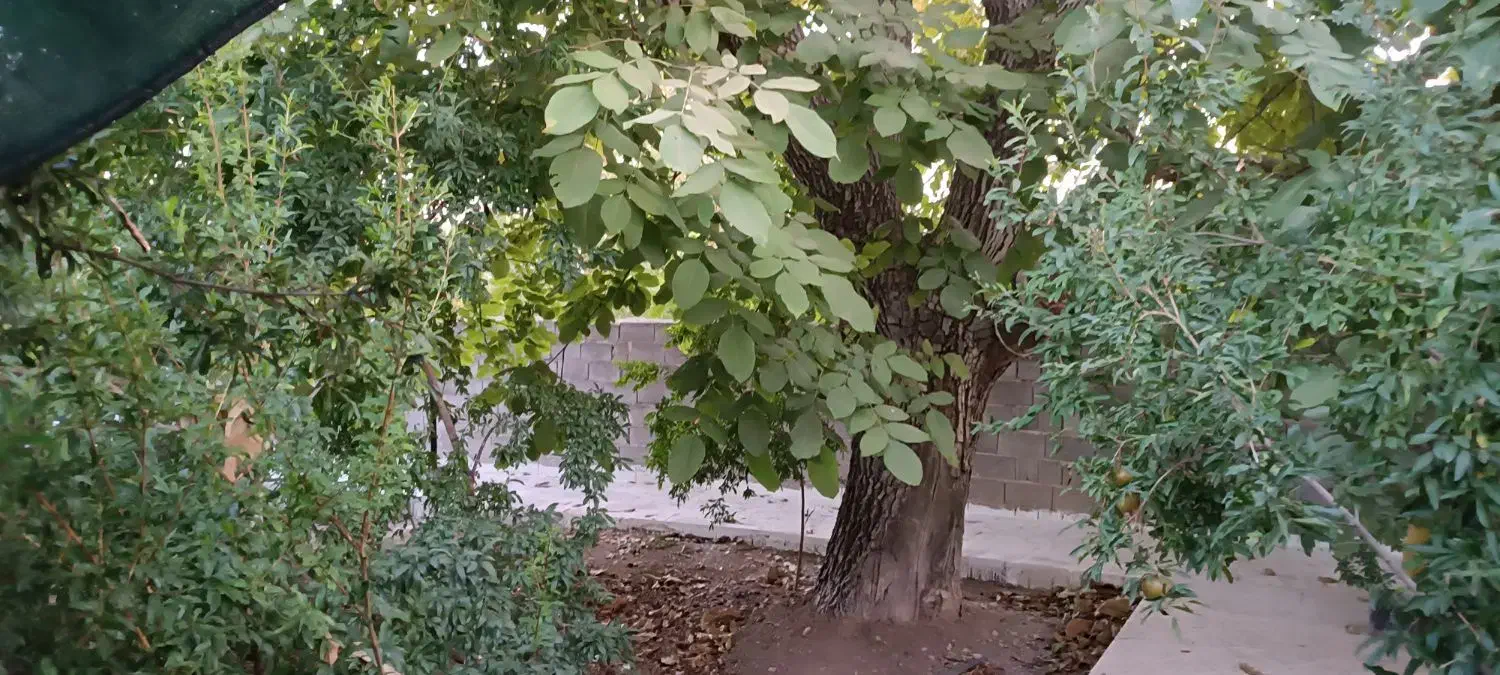 باغ ویلا /700متری/انشعابات/آب روان /فاروق|فروش خانه و ویلا|سیدان, |دیوار