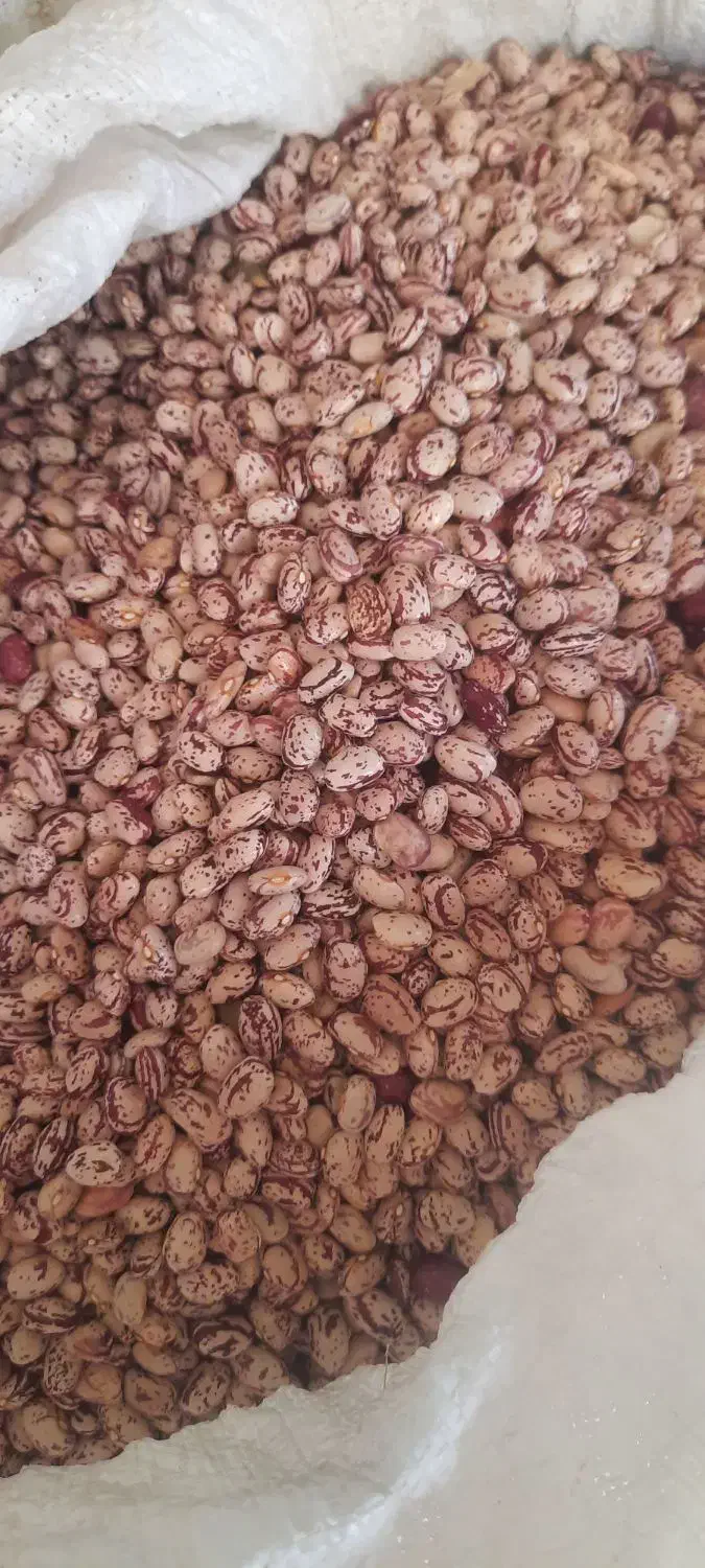 لوبیا چیتی|خوردنی و آشامیدنی|عجب شیر, |دیوار