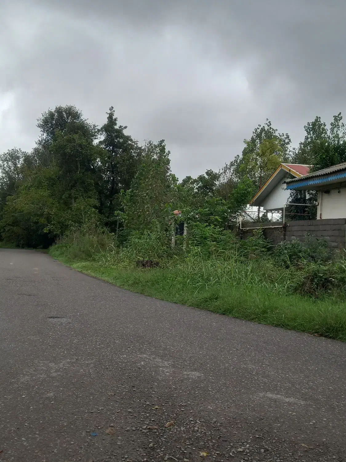 زمین ۲۵۰ متری باغی دور فنس|فروش زمین و ملک کلنگی|رشت, آب و برق|دیوار