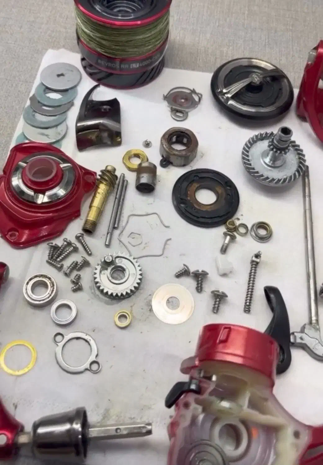 سرویس چرخ ماهیگیری|ماهیگیری|بندرعباس, |دیوار