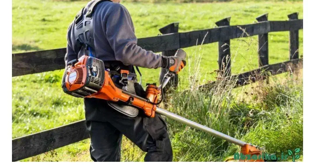 علف زن|خدمات باغبانی و درختکاری|طاهرگوراب, |دیوار