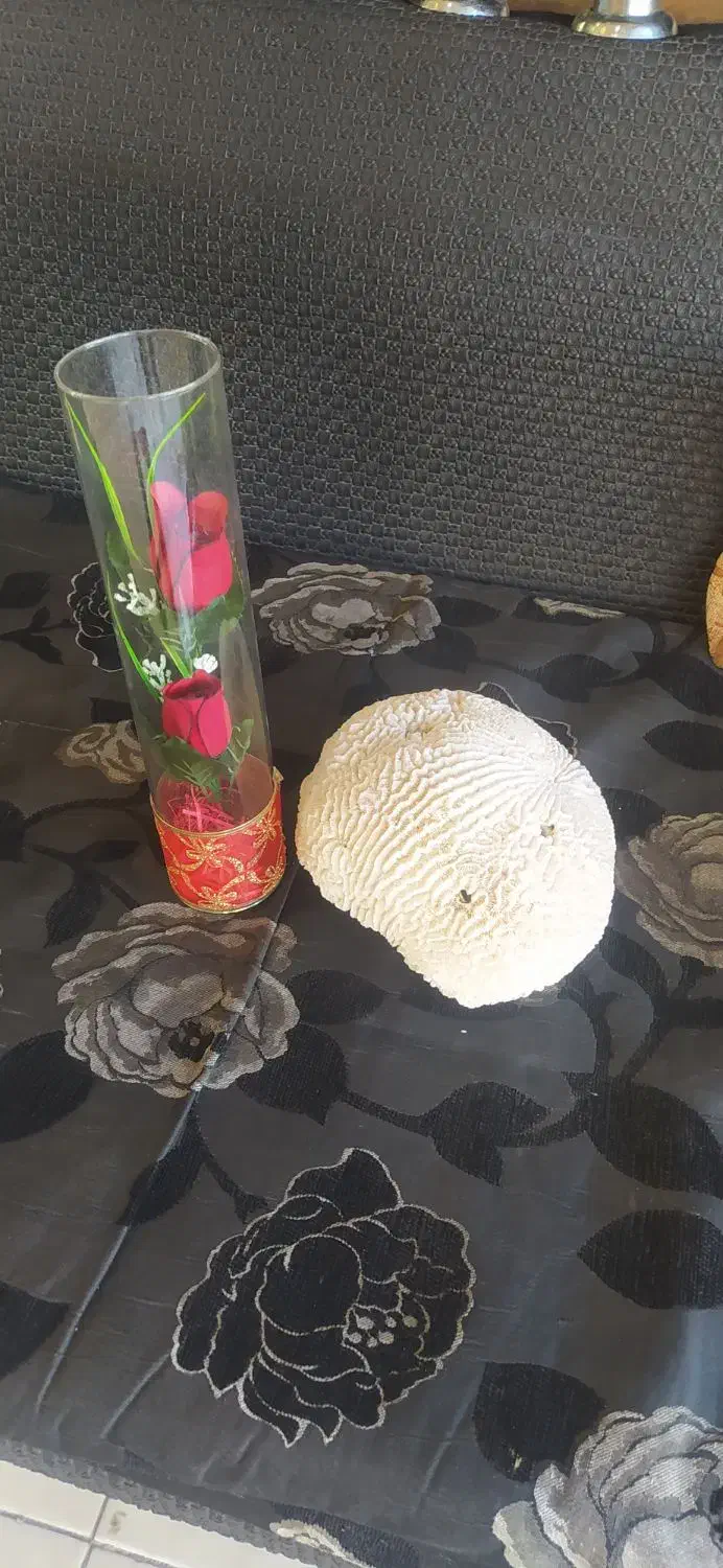 سنگ مرجان و گل|مجسمه، تندیس، ماکت|اصفهان, شاه پسند|دیوار