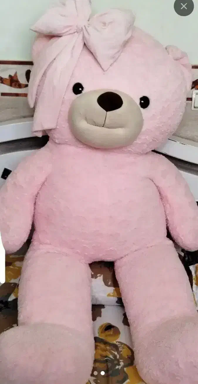 شاسخین|اسباب‌بازی بچه|زنجان, |دیوار