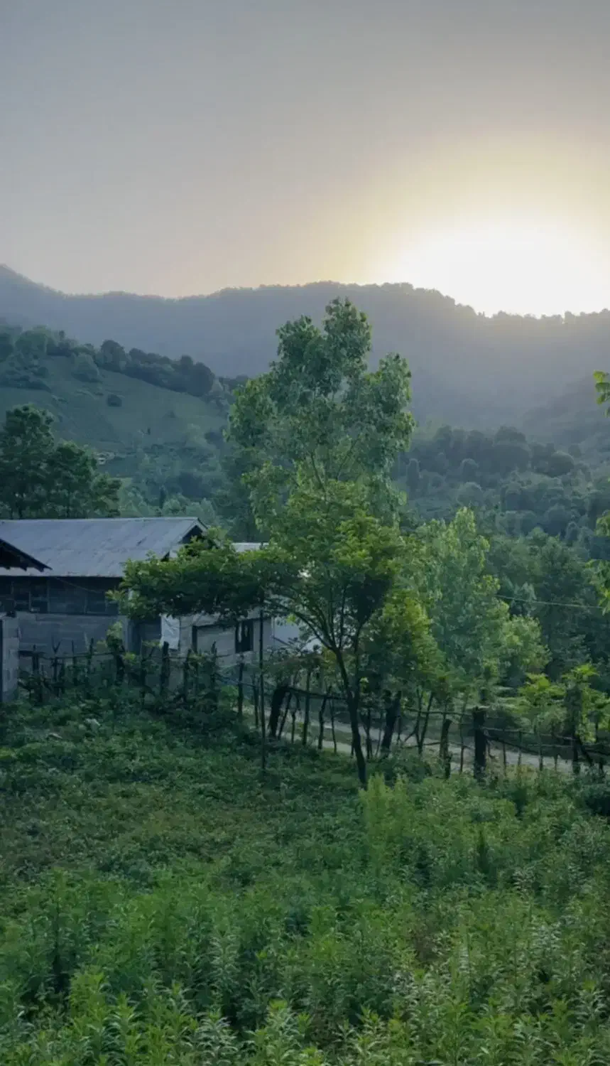 زمین ۱۰۰۰متری مسکونی/نزدیک رودخونه/ویودار|فروش زمین و ملک کلنگی|احمدسرگوراب, |دیوار