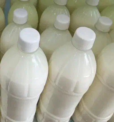 دوغ محلی تلمی|خوردنی و آشامیدنی|مشهد, کوشک مهدی|دیوار