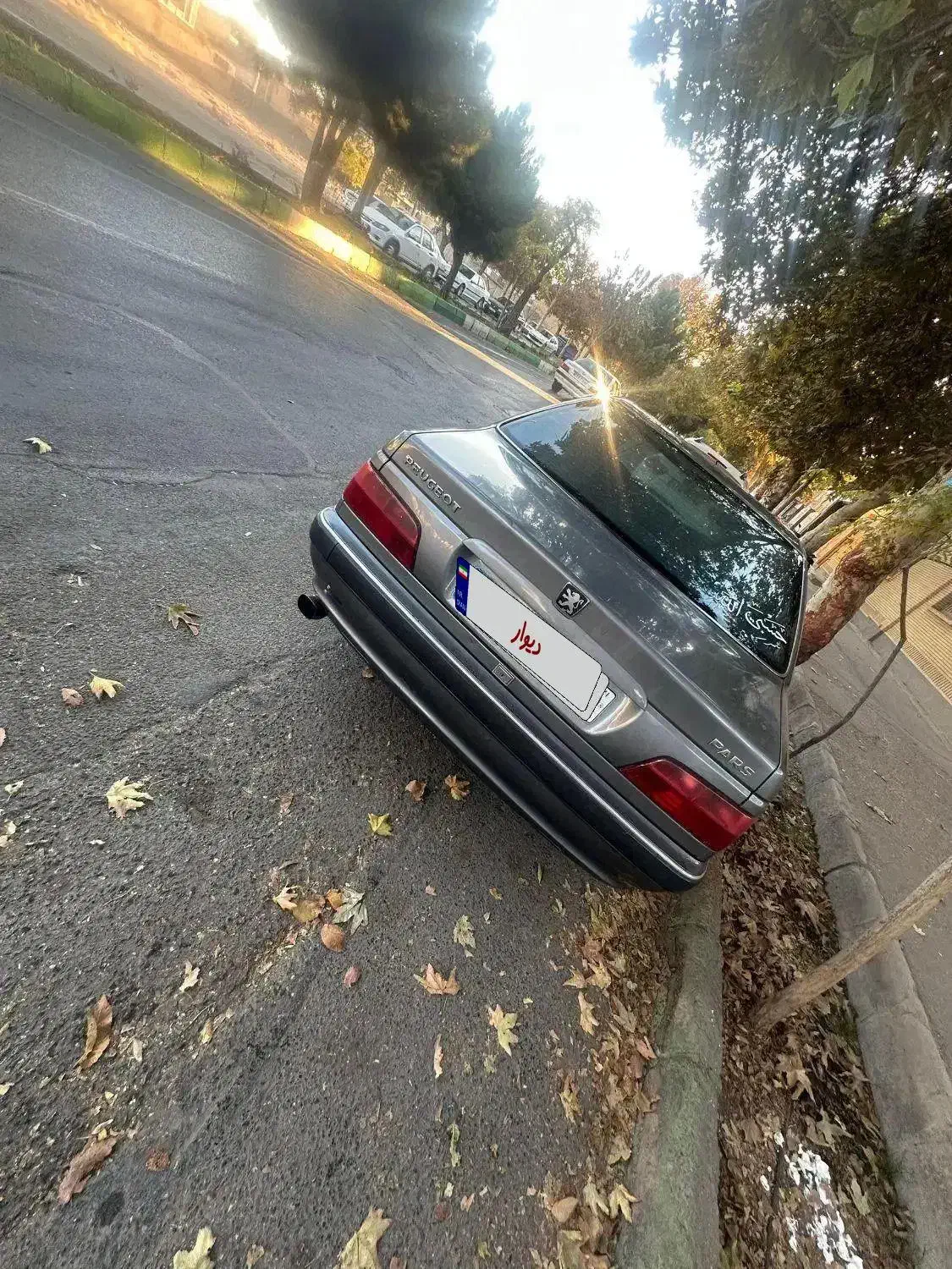 پژو پارس ۹۱ بیرنگ دوگانه کارخانه|خودرو سواری و وانت|شاهرود, |دیوار