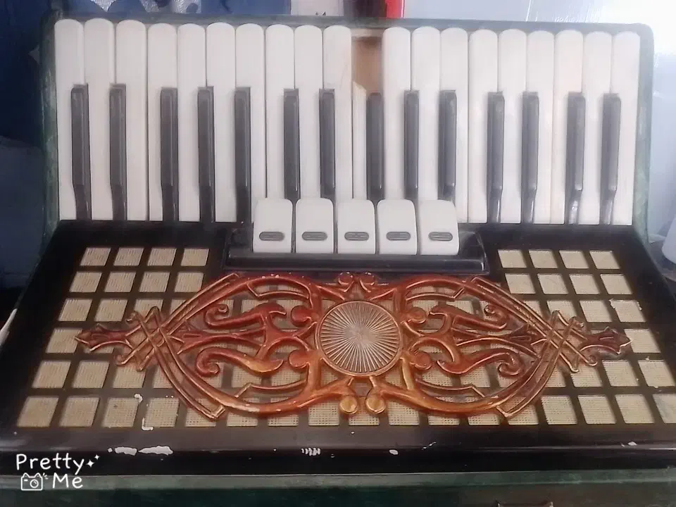 آکاردئون  روسی|پیانو، کیبورد، آکاردئون|تبریز, |دیوار