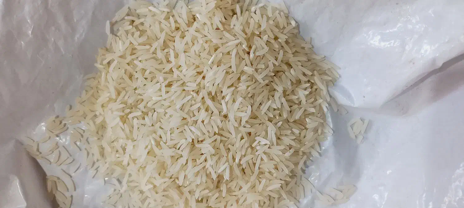 فجر سوزنی|خوردنی و آشامیدنی|سنگدوین, |دیوار