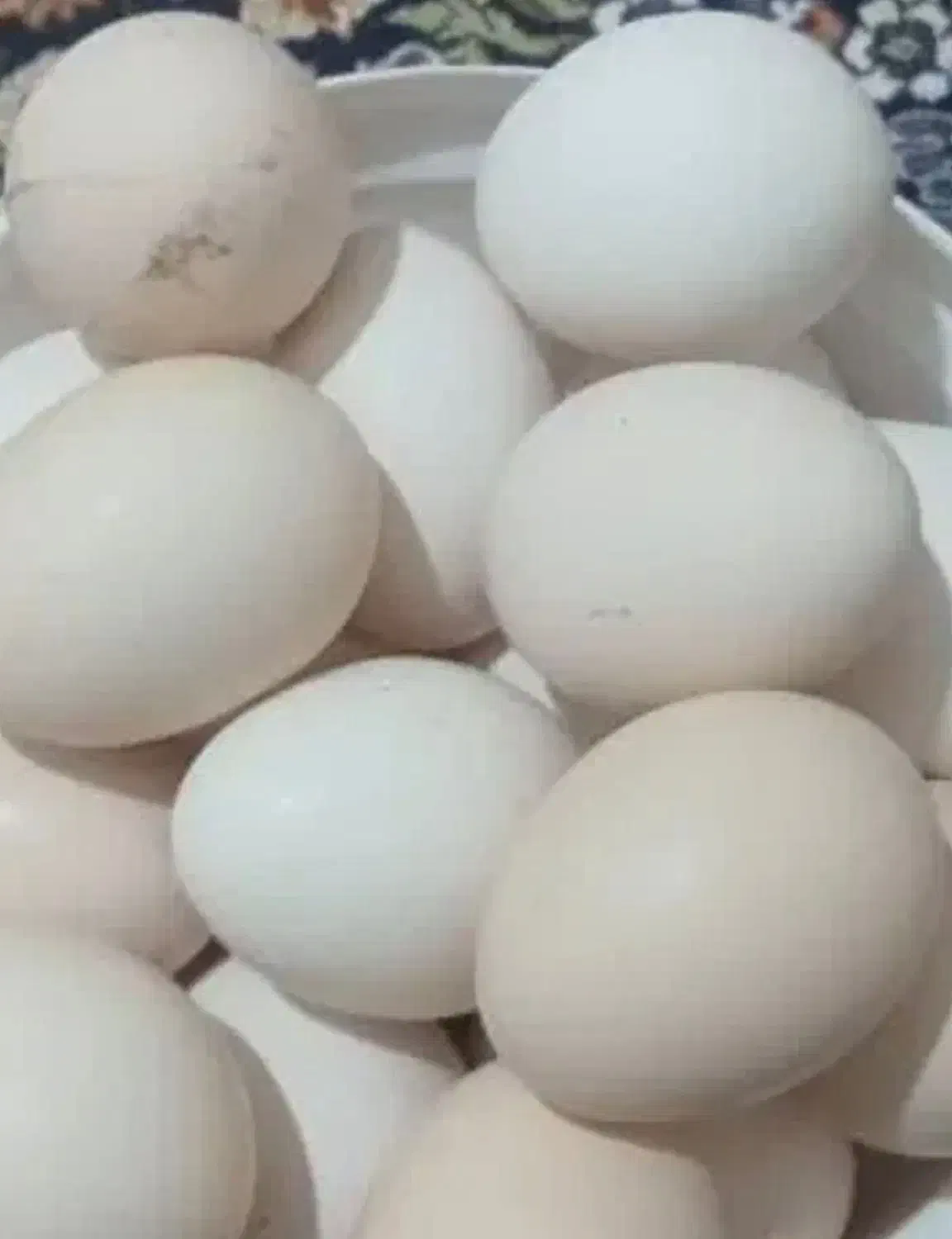 تخم مرغ خریدارم|فعالیت داوطلبانه|خاش, |دیوار