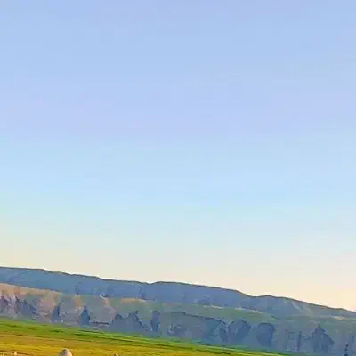 گندم|خوردنی و آشامیدنی|کوهنانی, |دیوار