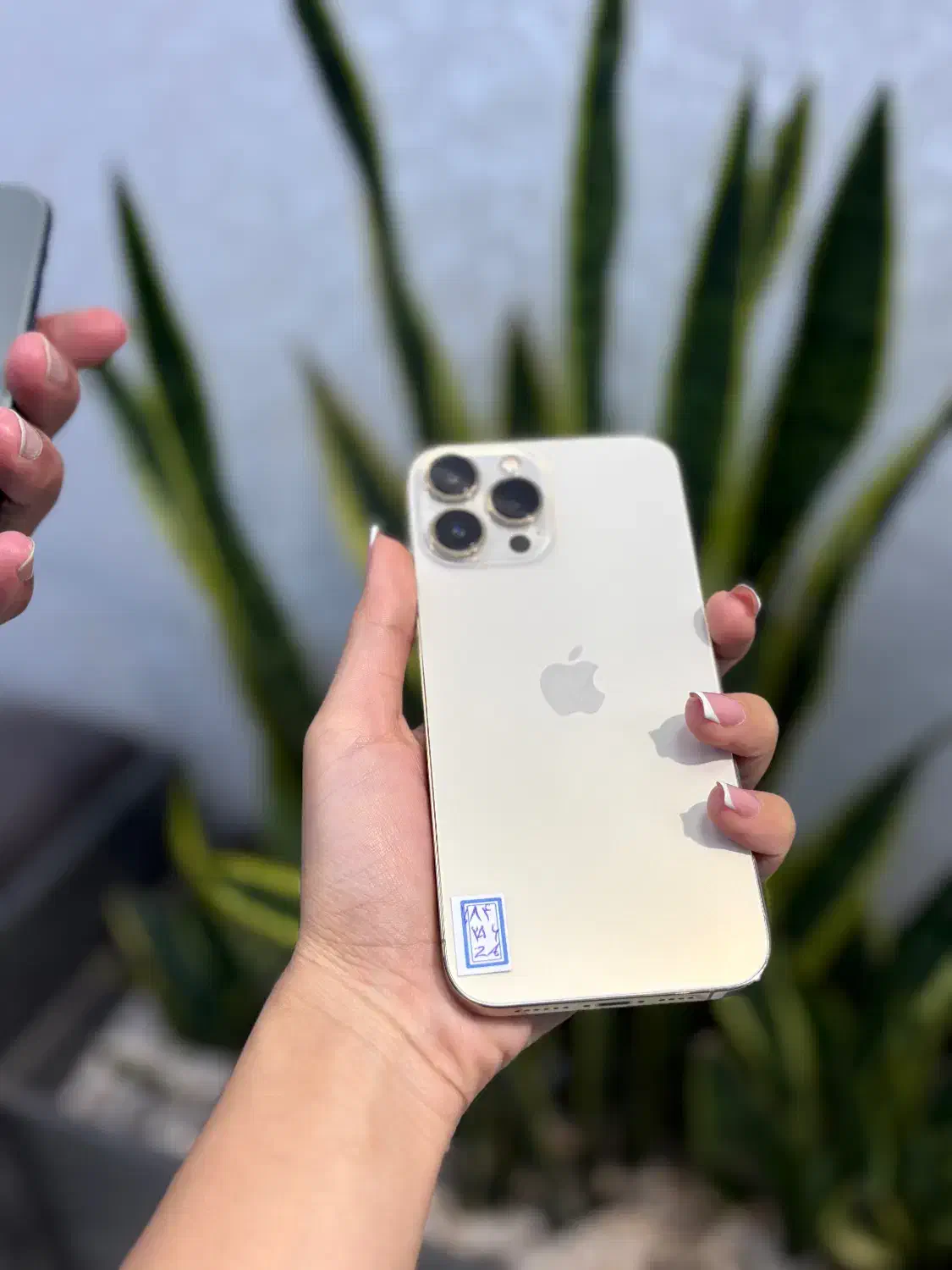 ۱۳ پرومکس فقط با ۵ میلیون پیش قسط|موبایل|اصفهان, احمدآباد|دیوار